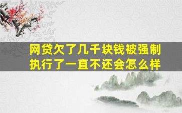 网贷欠了几千块钱被强制执行了一直不还会怎么样