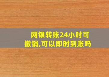 网银转账24小时可撤销,可以即时到账吗