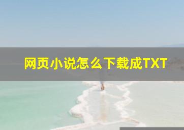 网页小说怎么下载成TXT