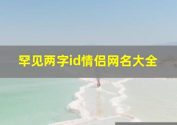 罕见两字id情侣网名大全