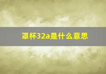 罩杯32a是什么意思