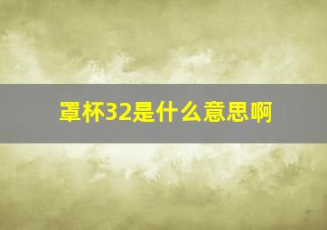 罩杯32是什么意思啊