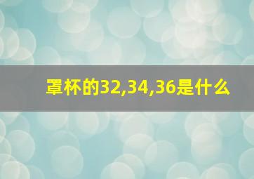 罩杯的32,34,36是什么