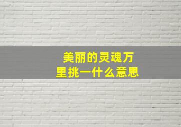 美丽的灵魂万里挑一什么意思