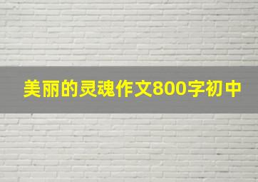 美丽的灵魂作文800字初中