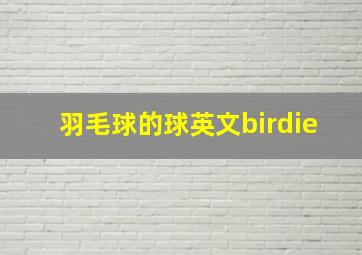 羽毛球的球英文birdie