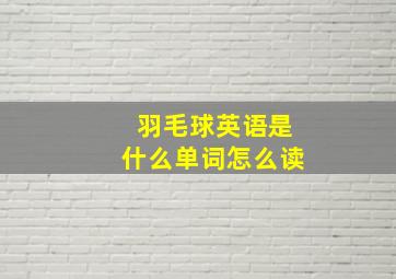 羽毛球英语是什么单词怎么读