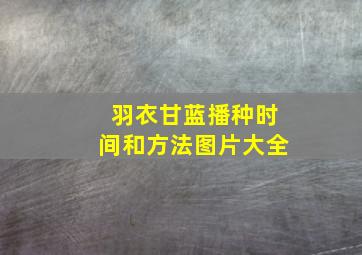 羽衣甘蓝播种时间和方法图片大全