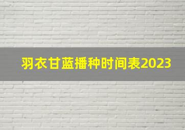 羽衣甘蓝播种时间表2023