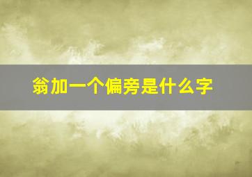 翁加一个偏旁是什么字