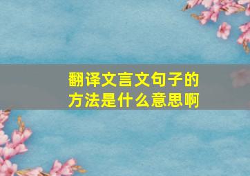 翻译文言文句子的方法是什么意思啊