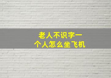 老人不识字一个人怎么坐飞机