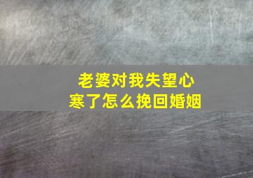 老婆对我失望心寒了怎么挽回婚姻