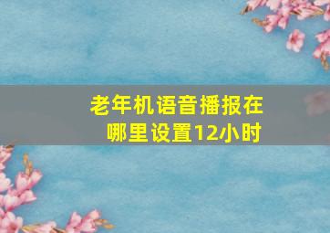 老年机语音播报在哪里设置12小时