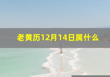 老黄历12月14日属什么