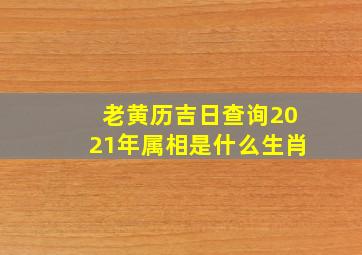 老黄历吉日查询2021年属相是什么生肖