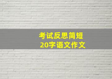 考试反思简短20字语文作文