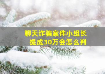 聊天诈骗案件小组长提成30万会怎么判