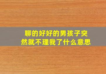 聊的好好的男孩子突然就不理我了什么意思