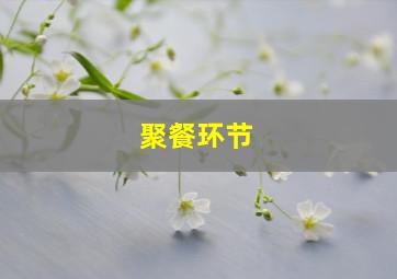 聚餐环节