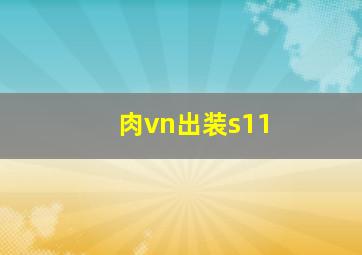 肉vn出装s11