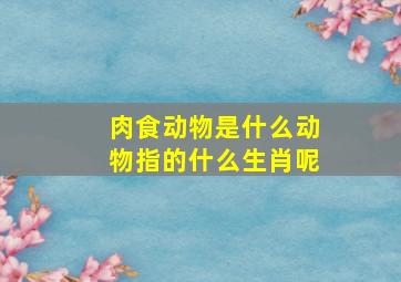 肉食动物是什么动物指的什么生肖呢