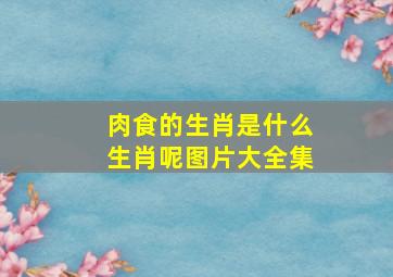 肉食的生肖是什么生肖呢图片大全集