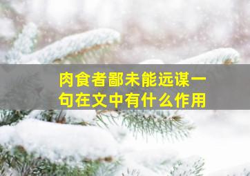 肉食者鄙未能远谋一句在文中有什么作用