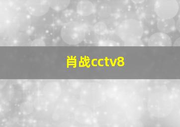 肖战cctv8