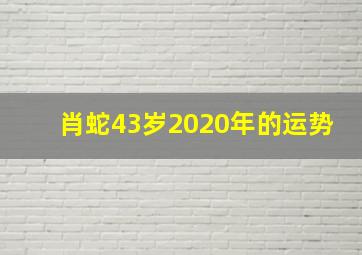 肖蛇43岁2020年的运势