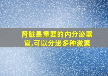 肾脏是重要的内分泌器官,可以分泌多种激素