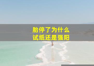 胎停了为什么试纸还是强阳