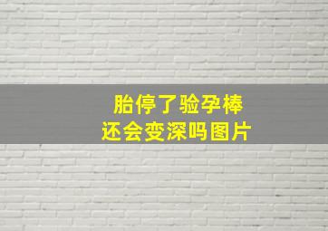 胎停了验孕棒还会变深吗图片