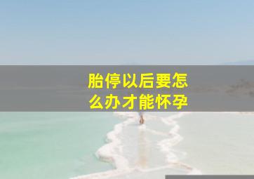 胎停以后要怎么办才能怀孕