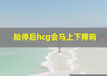 胎停后hcg会马上下降吗