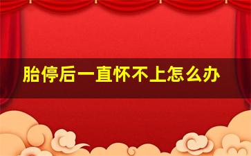 胎停后一直怀不上怎么办