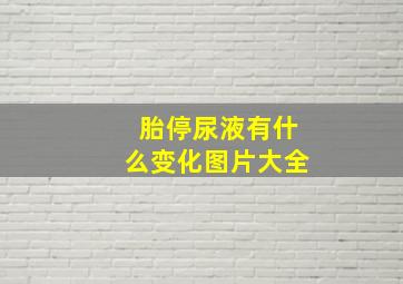 胎停尿液有什么变化图片大全