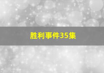 胜利事件35集