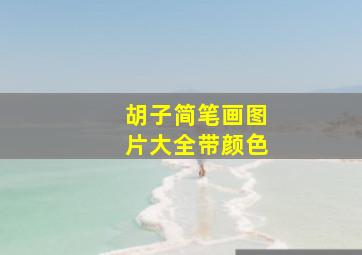 胡子简笔画图片大全带颜色