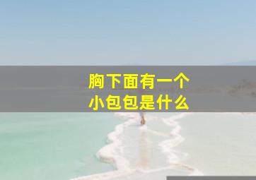 胸下面有一个小包包是什么