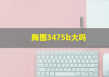 胸围3475b大吗