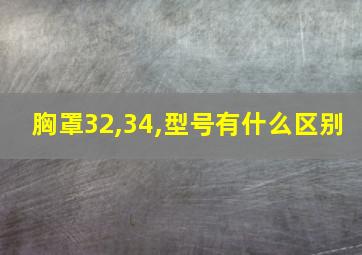 胸罩32,34,型号有什么区别