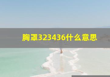 胸罩323436什么意思