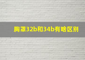 胸罩32b和34b有啥区别