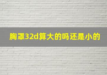 胸罩32d算大的吗还是小的