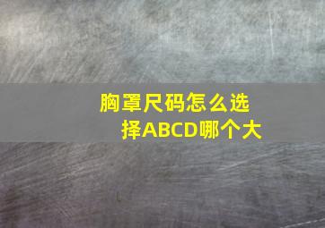 胸罩尺码怎么选择ABCD哪个大