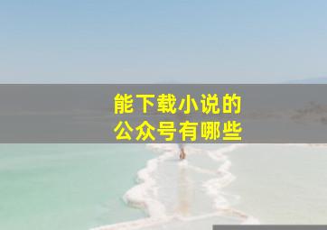 能下载小说的公众号有哪些