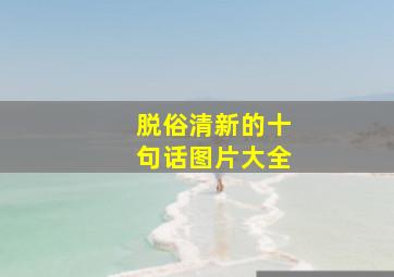 脱俗清新的十句话图片大全