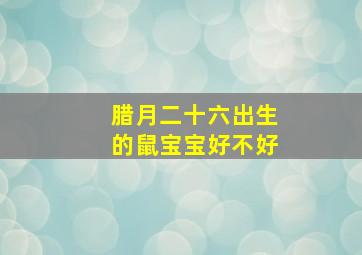 腊月二十六出生的鼠宝宝好不好