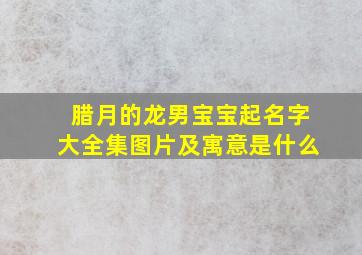 腊月的龙男宝宝起名字大全集图片及寓意是什么